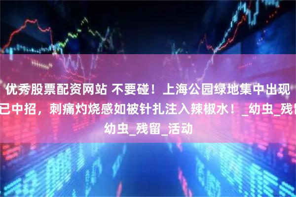 优秀股票配资网站 不要碰！上海公园绿地集中出现！有人已中招，刺痛灼烧感如被针扎注入辣椒水！_幼虫_残留_活动